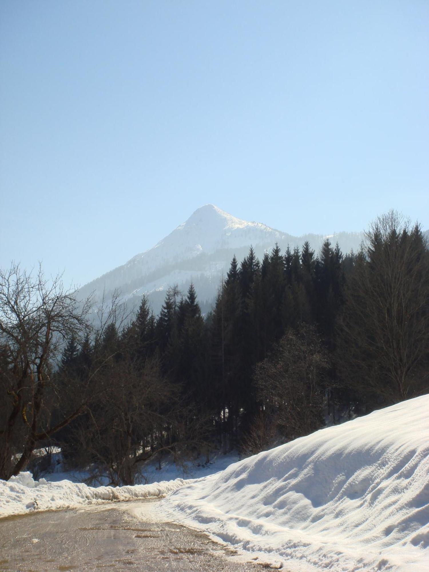 Brandstaettgut Διαμέρισμα Altenmarkt im Pongau Εξωτερικό φωτογραφία